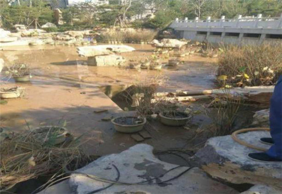 我們?cè)谄椒驳膷徫簧舷蜃鎳赣H致敬1.jpg 我們?cè)谄椒驳膷徫簧舷蜃鎳赣H致敬1.jpg